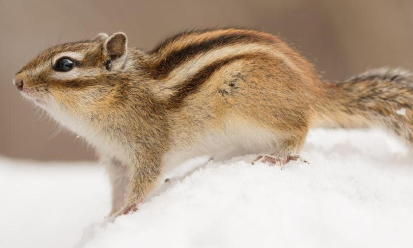 青岛机场接送城阳股份公司轮播图2
