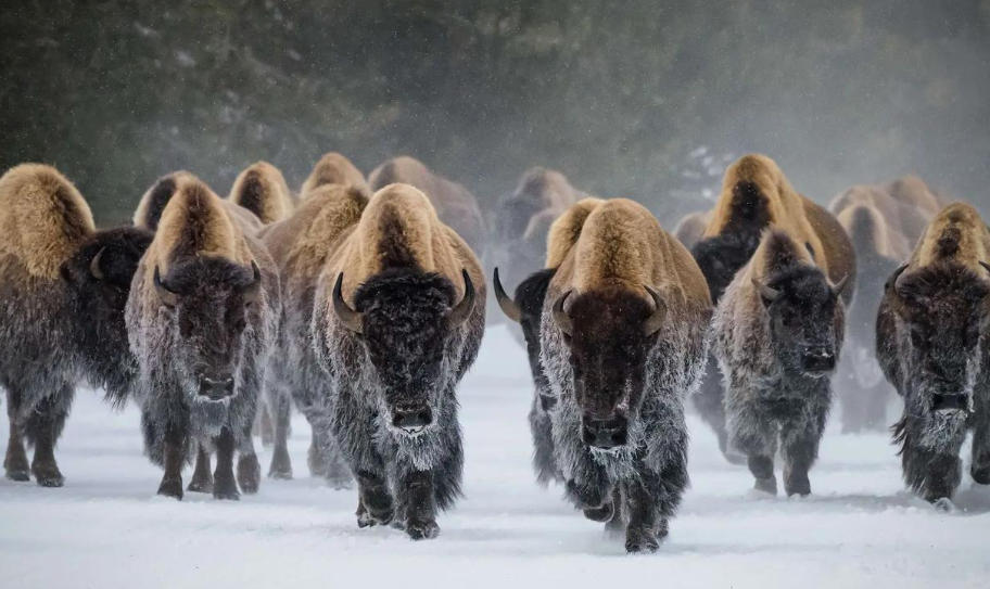 青岛机场接送城阳股份公司轮播图3